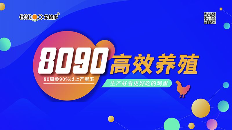 四會(huì)連開，艾格多8090高 效養(yǎng)殖700天唐山區(qū)域線下交流會(huì)成功舉辦